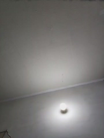 lunaywolfgray Приват Записи 2026-10-23