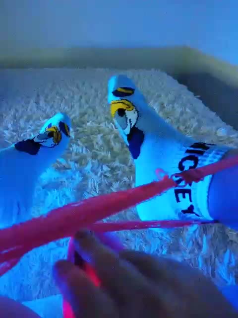 Piff_Pawlady Приват Записи 2026-10-23
