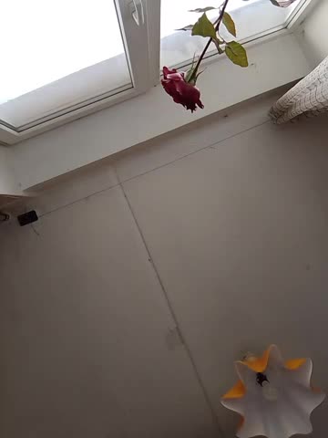 Lauren_Amabel Приват Записи 2026-10-23