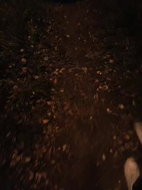 Mypaxa_Anna Приват Записи 2026-10-24