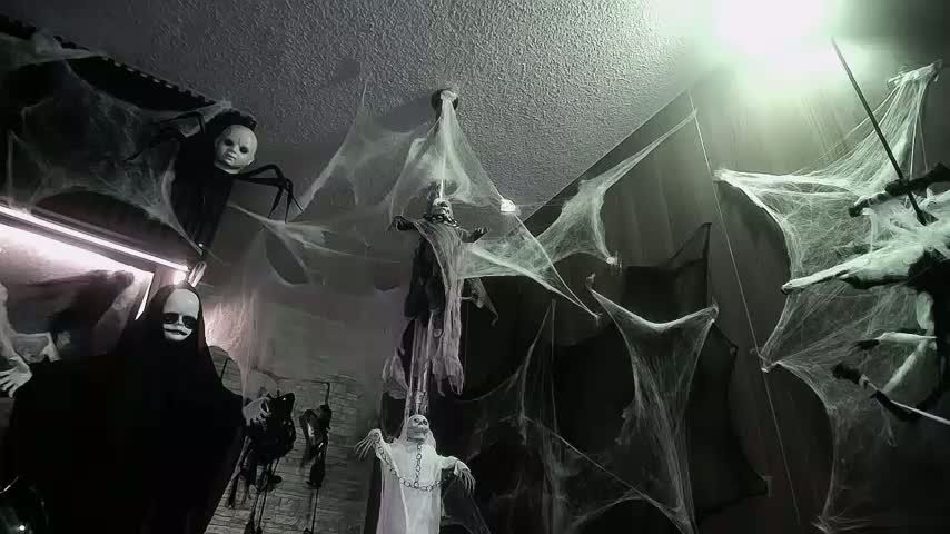 Belladonna_trix Приват Записи 2026-10-24